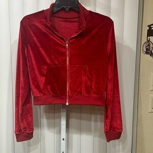 Red Crushed Velvet Crop Top